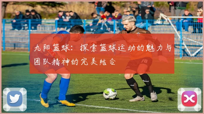 九阳篮球：探索篮球运动的魅力与团队精神的完美结合